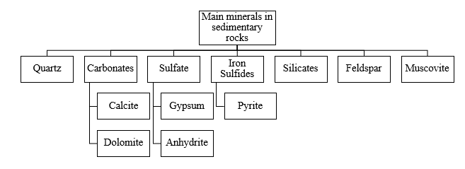 Hierarchy showing the Main Minerals in Sedimentary Rocks