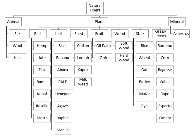 Hierarchy showing the classification of Natural Fibers