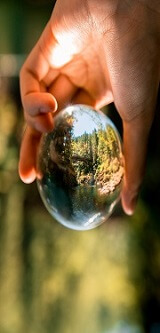 An image of a hand holding a spherical mirror in the woods