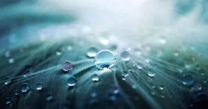 Image of a macro view water droplet on a sealed surface