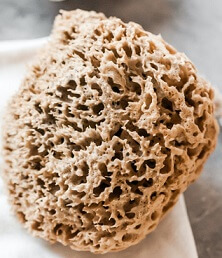 Picture of a pumice rock which is a natural pozzolan