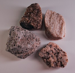 Picture showing 4 sedimentary rocks