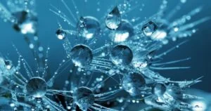 Image showing a close up of water droplets