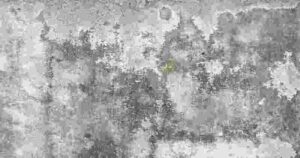 Concrete Efflorescence
