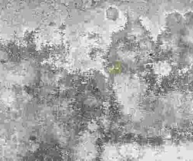 Concrete Efflorescence